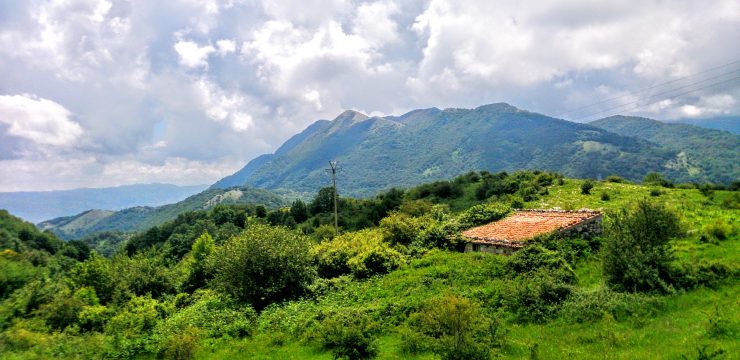 ABASTE – Sant’Arsenio