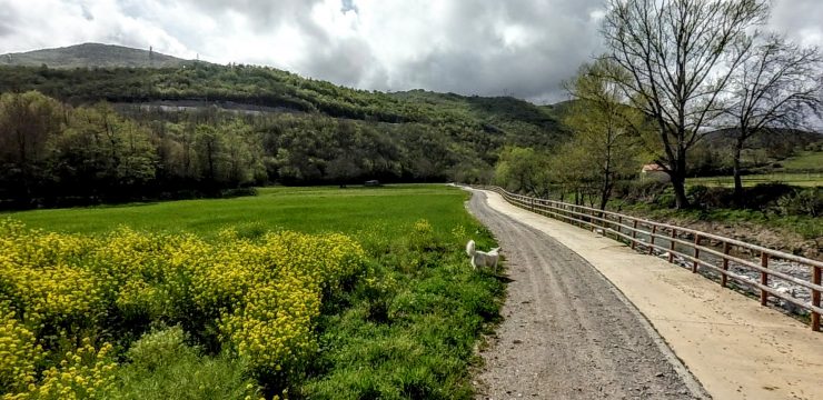 <span class="entry-title-primary">PEGASO – Casalbuono</span> <span class="entry-subtitle">(Loc. Maneggio River Ranch)</span>